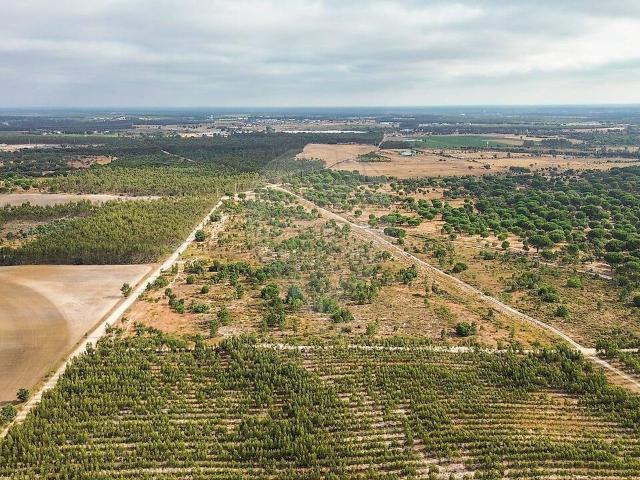 Terreno venda em Pegões, Montijo