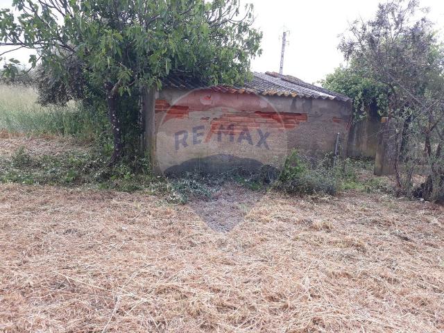 Terreno venda em Pego, Abrantes