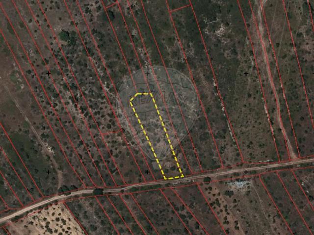 Terreno venda em Pego, Abrantes