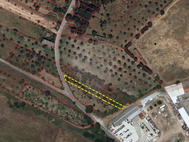 Terreno venda em Pego, Abrantes