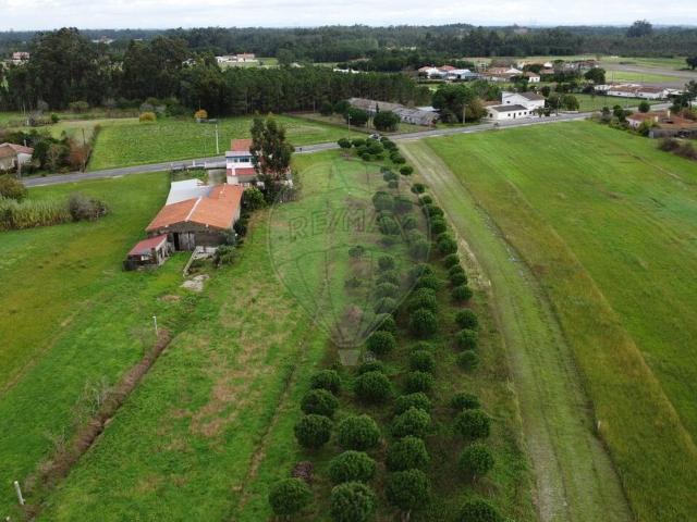 Terreno venda em Pelichos, Montemor-o-velho