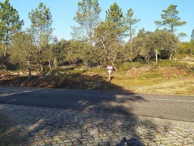 Terreno venda em Sobral Chão, Pelmá