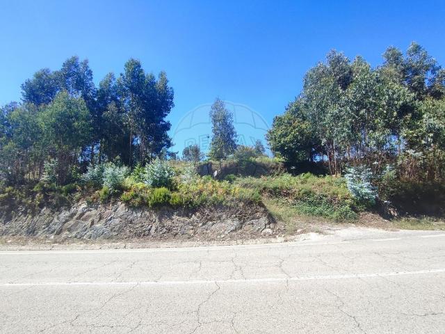 Terreno venda em Penacova, Coimbra