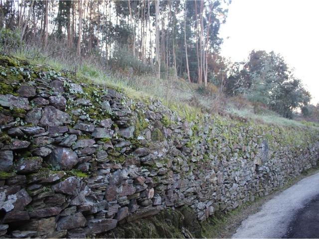 Terreno venda em Ponte de Penacova, Penacova