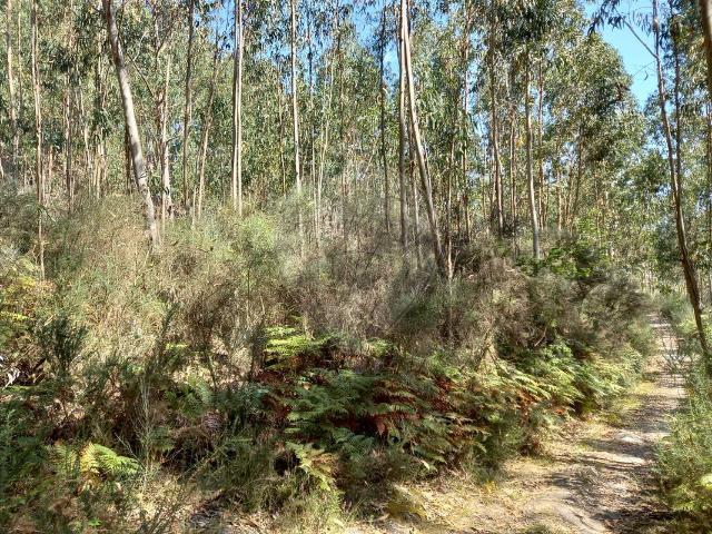 Terreno venda em Marecos, Porto