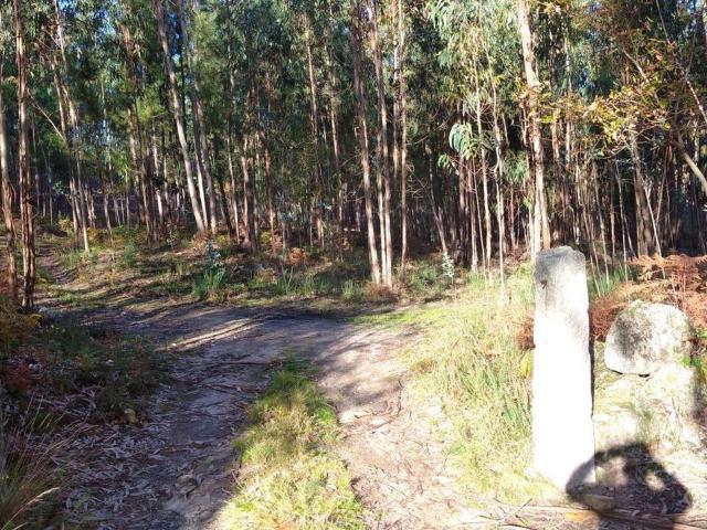 Terreno venda em Rio de Moinhos, Marecos