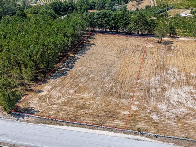 Terreno venda em Penalva Do Castelo, Viseu