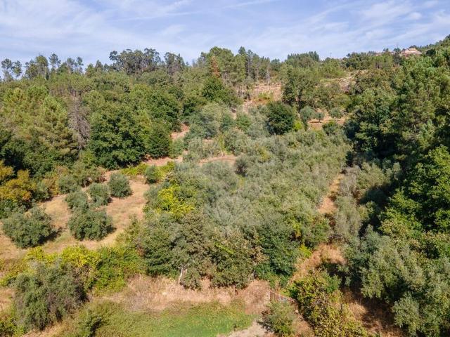 Terreno venda em Penalva Do Castelo, Viseu