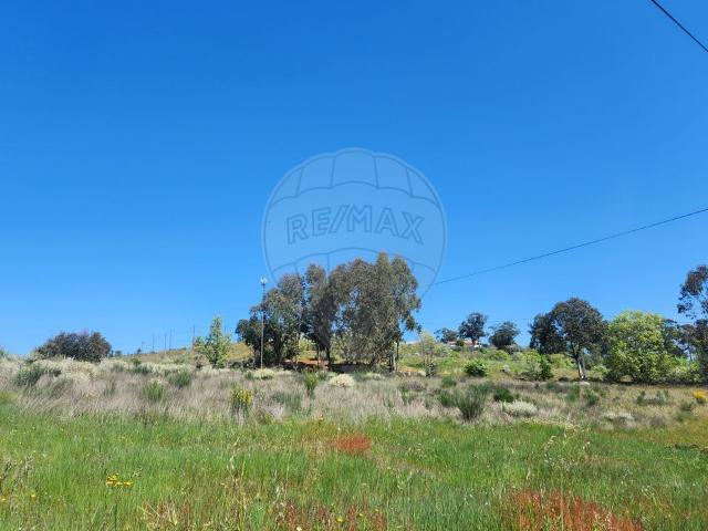 Terreno venda em Castelo Branco, Penamacor