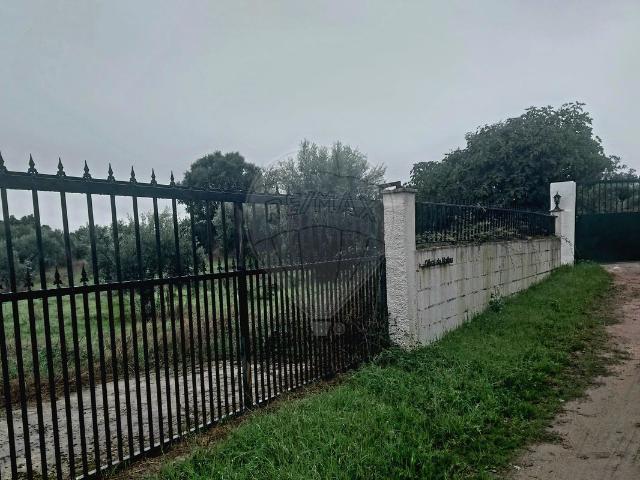 Terreno venda em Castelo Branco, Penamacor