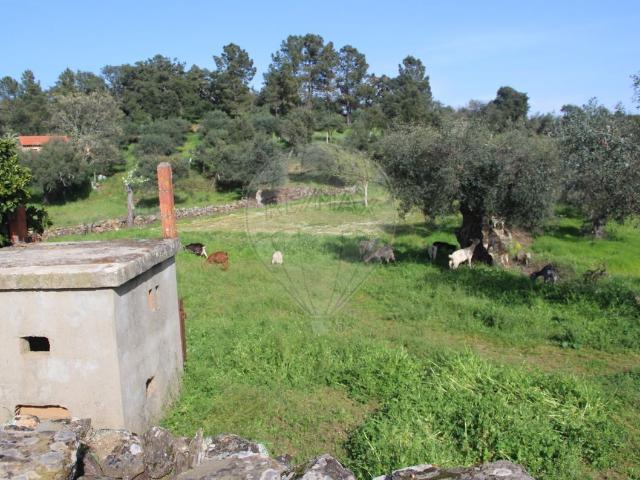 Terreno venda em Castelo Branco, Penamacor