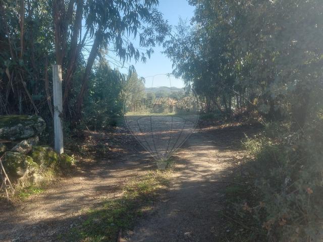Terreno venda em Castelo Branco, Penamacor