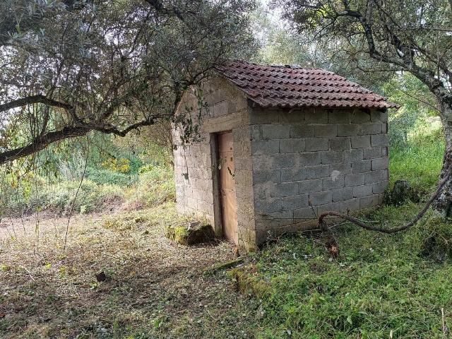 Terreno venda em Castelo Branco, Penamacor