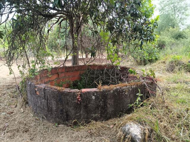 Terreno venda em Castelo Branco, Penamacor