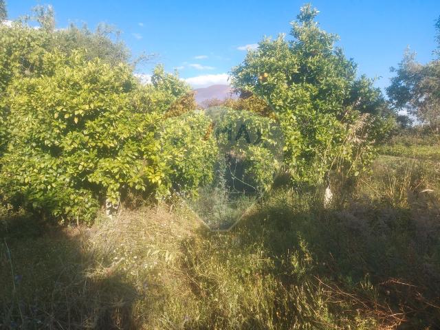 Terreno venda em Castelo Branco, Penamacor