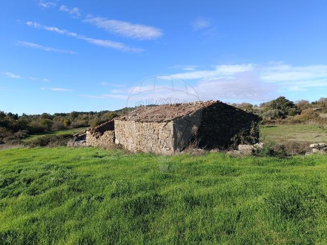 Terreno venda em Castelo Branco, Penamacor