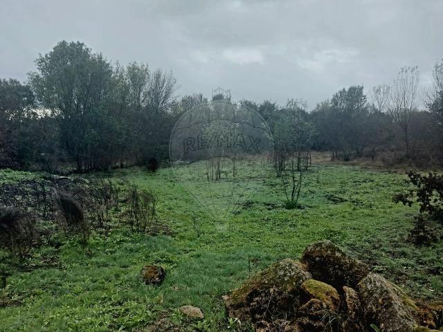 Terreno venda em Castelo Branco, Penamacor