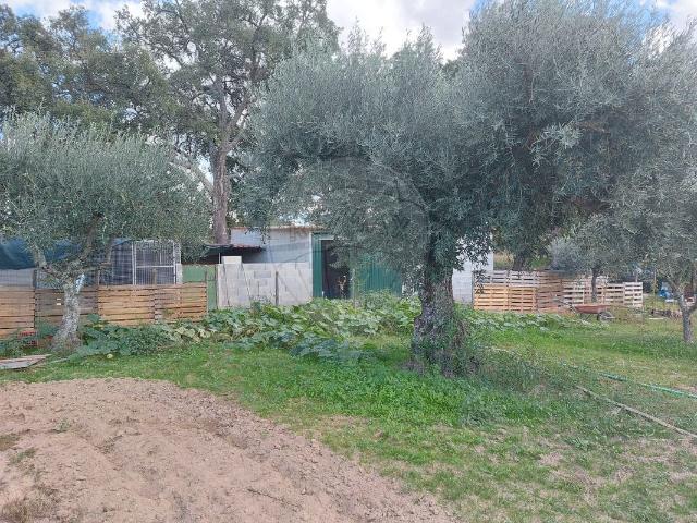 Terreno venda em Castelo Branco, Penamacor