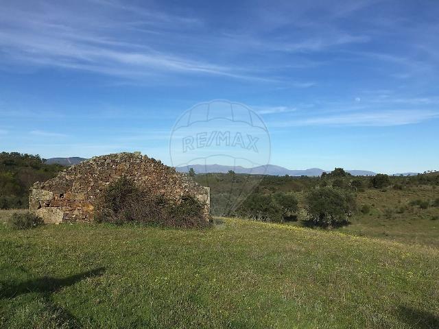 Terreno venda em Castelo Branco, Penamacor