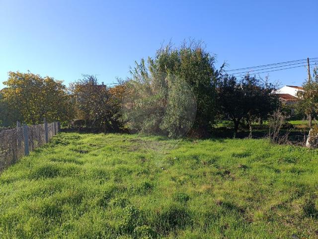 Terreno venda em Castelo Branco, Penamacor