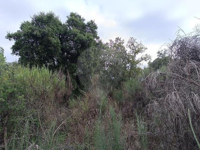 Terreno venda em Castelo Branco, Penamacor