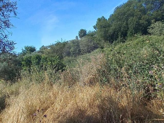 Terreno venda em Castelo Branco, Penamacor