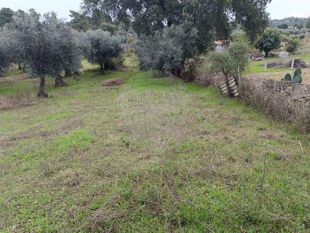 Terreno venda em Castelo Branco, Penamacor