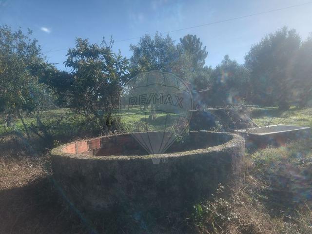 Terreno venda em Castelo Branco, Penamacor