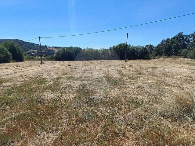 Terreno venda em Castelo Branco, Penamacor