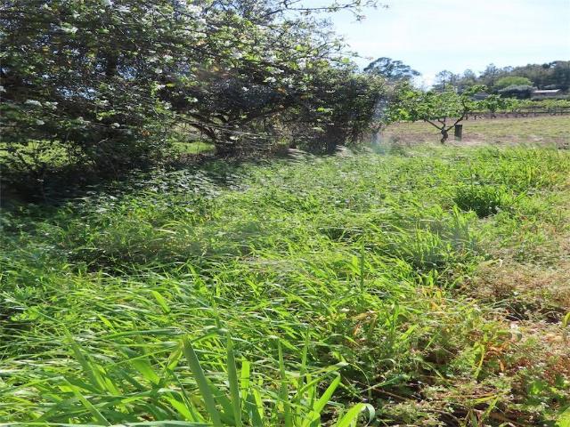 Terreno venda em Castelo Branco, Penamacor