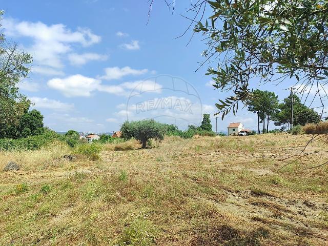 Terreno venda em Castelo Branco, Penamacor