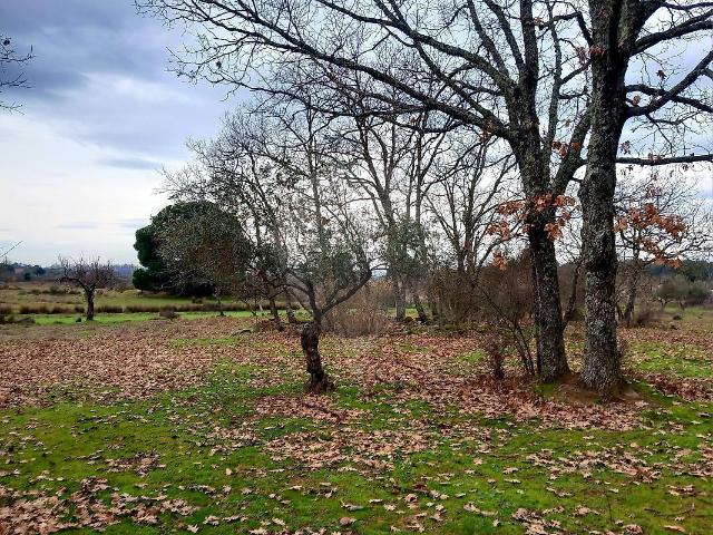 Terreno venda em Castelo Branco, Penamacor