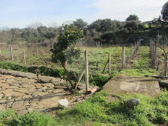 Terreno venda em Castelo Branco, Penamacor