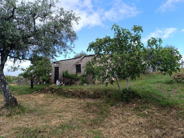 Terreno venda em Castelo Branco, Penamacor