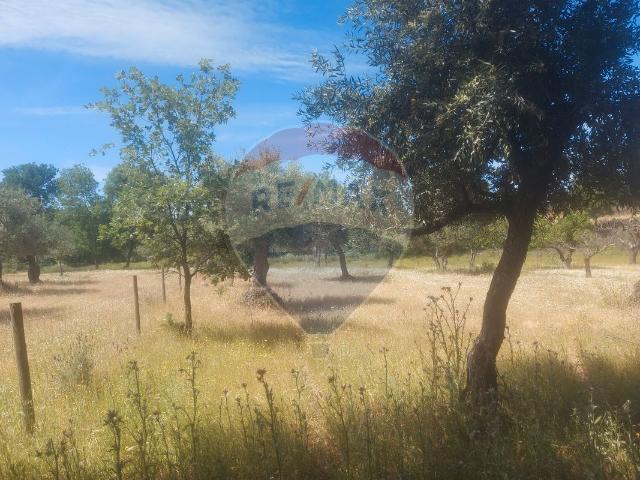 Terreno venda em Castelo Branco, Penamacor