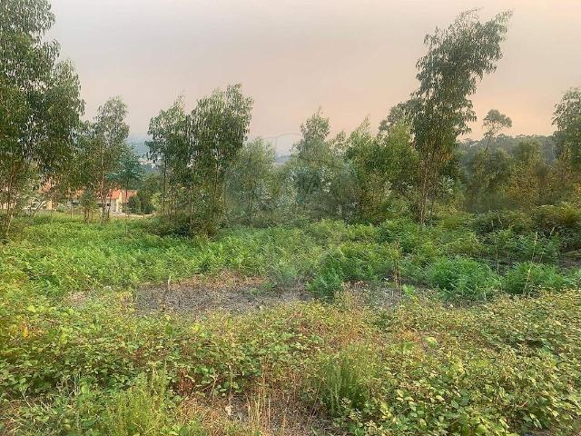 Terreno venda em Outeiro, Penamaior