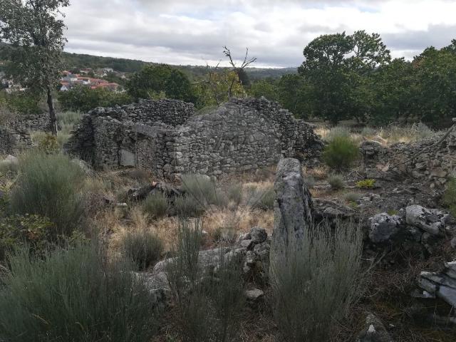 Terreno venda em Souto, Penedono