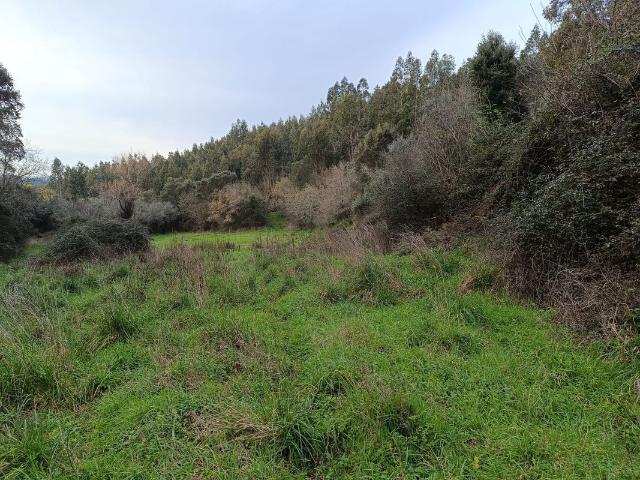 Terreno venda em Penela, Coimbra