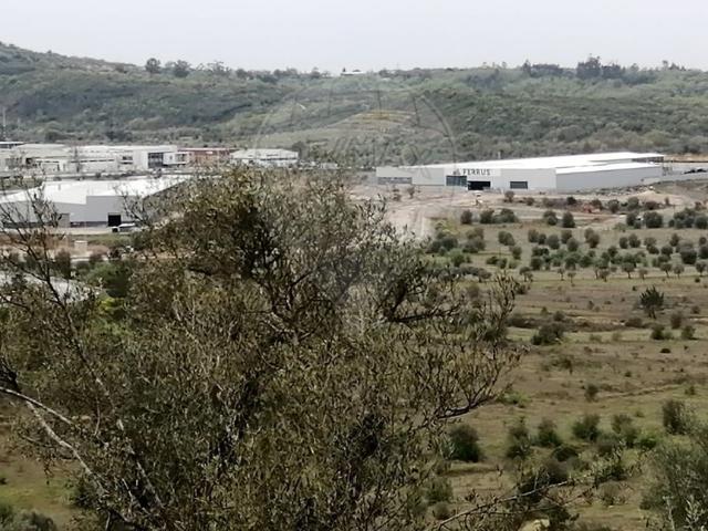 Terreno venda em Cabeça Redonda, Penela