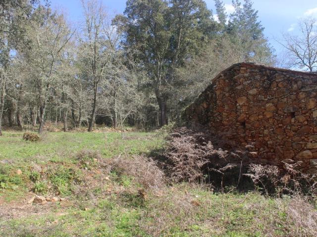 Terreno venda em Penela, Coimbra