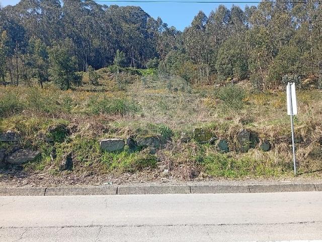Terreno venda em Pereira, Barcelos