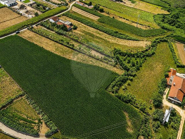 Terreno venda em Perelhal, Barcelos