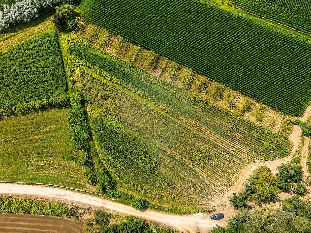 Terreno venda em Perelhal, Barcelos