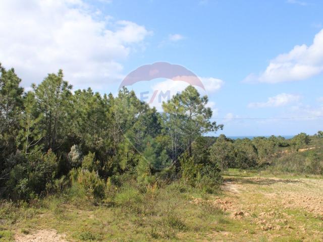 Terreno venda em Aljezur, Faro
