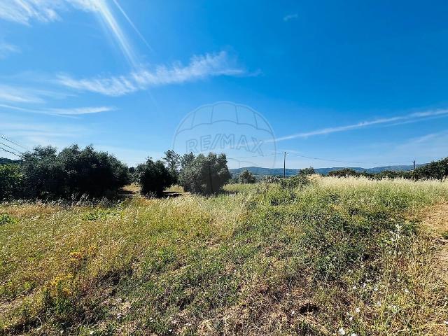 Terreno venda em Pero Viseu, Fundão