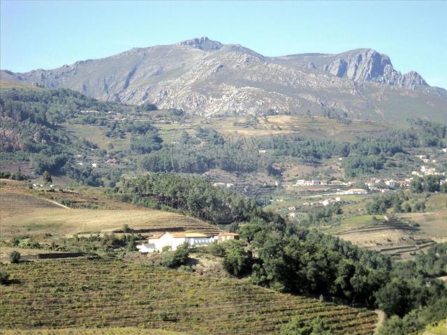 Terreno venda em Peso Da Régua, Vila Real