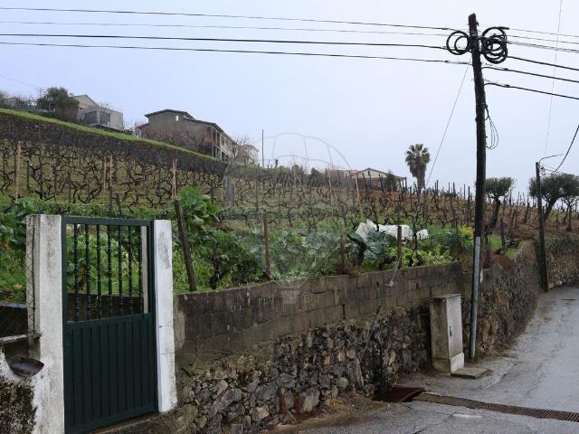 Terreno venda em Peso Da Régua, Vila Real
