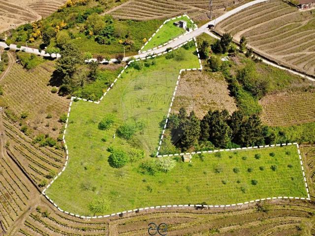 Terreno venda em Peso Da Régua, Vila Real