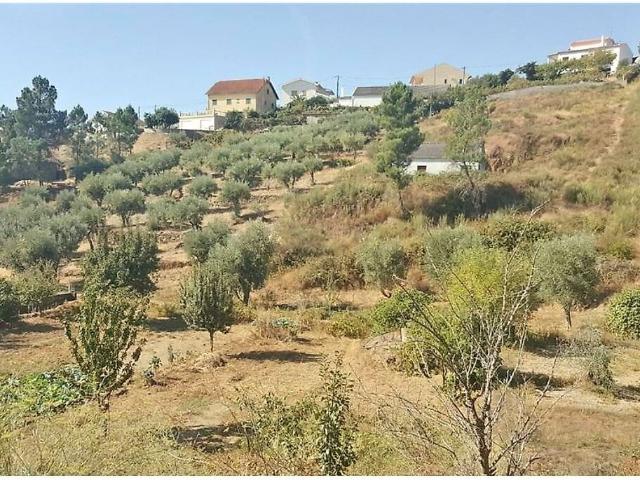 Terreno venda em Peso, Covilhã