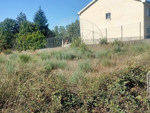Terreno venda em Peva e Segões, Moimenta da Beira